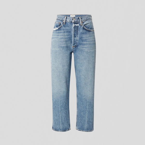 Agolde 90's Mid Rise Loose Fit Jeans Hooked
